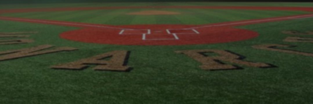 LAVC  Baseball banner