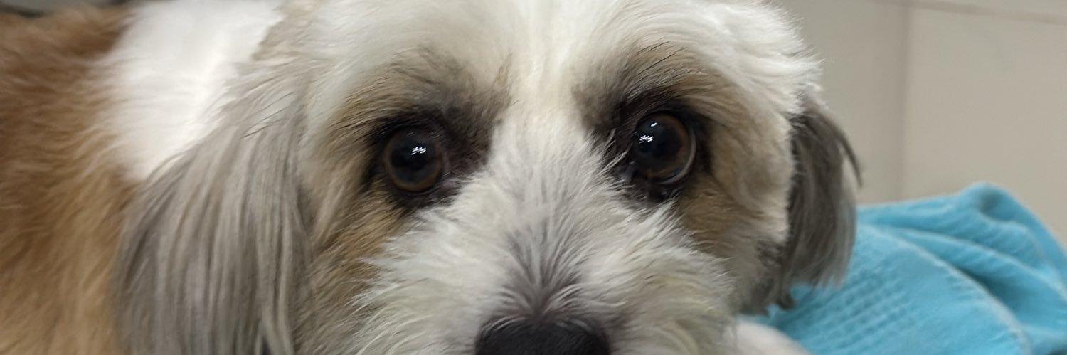 vaaalxx__'s profile banner image