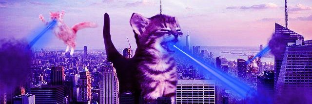 jenbnny's profile banner image