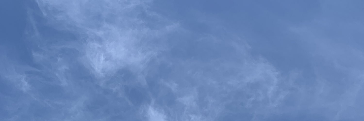 luna banner