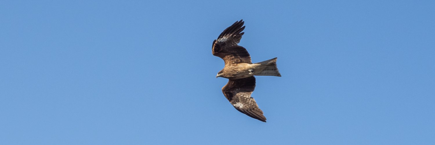 hal68k's profile banner image