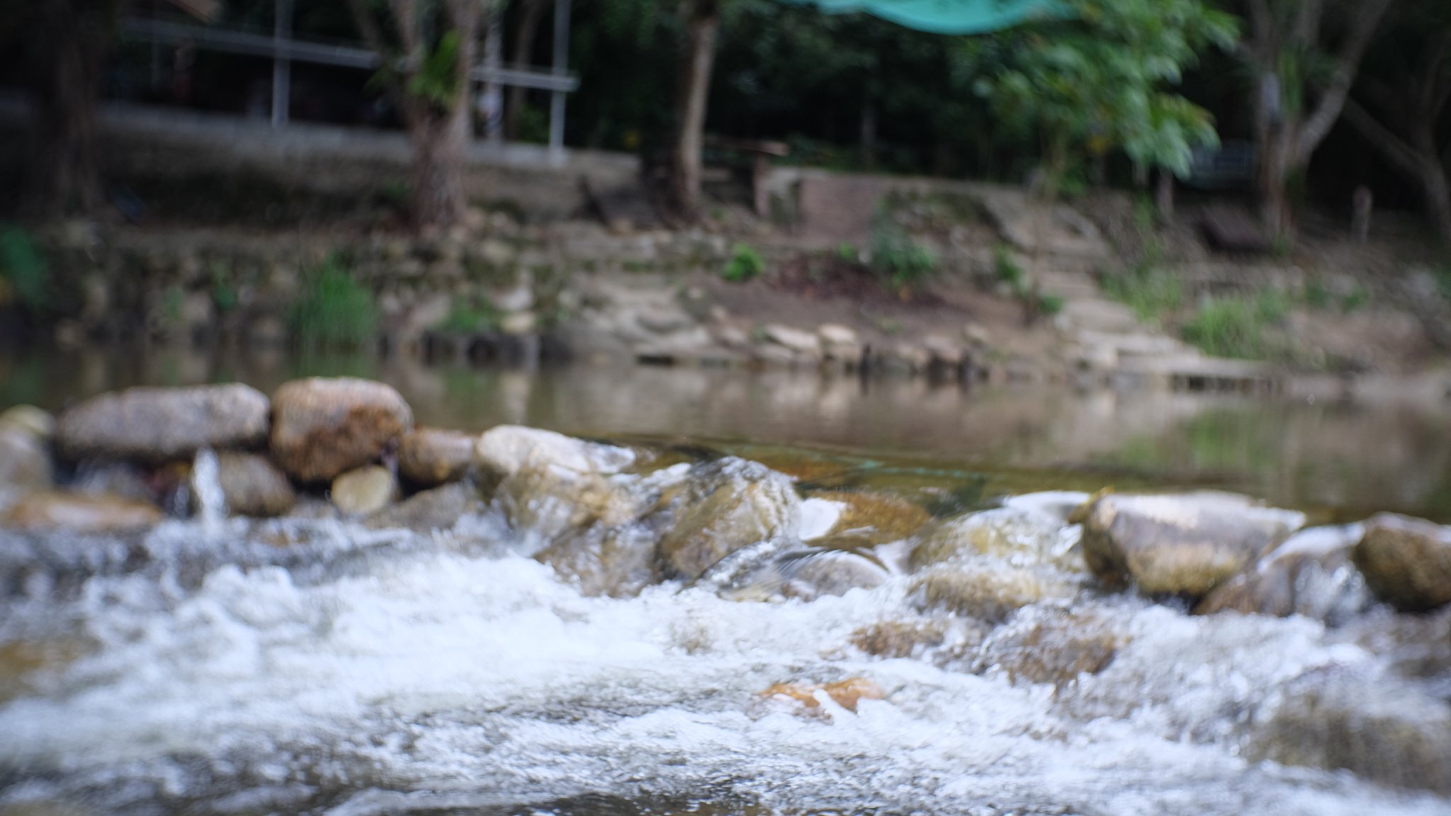 LonelyKae's profile banner image