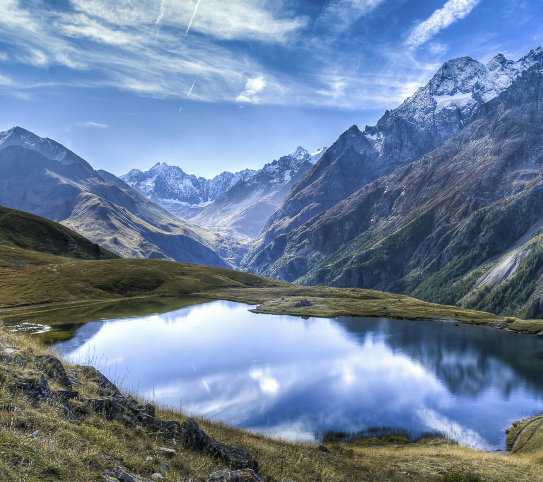 idealhumanism's profile banner image