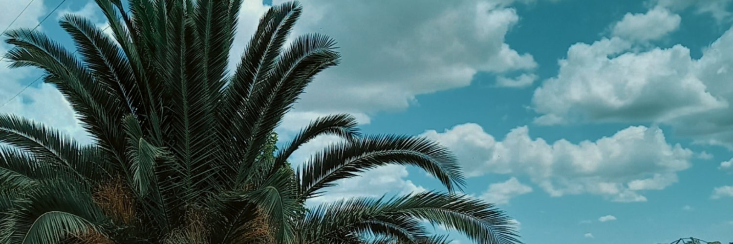MartinLopezNSX's profile banner image