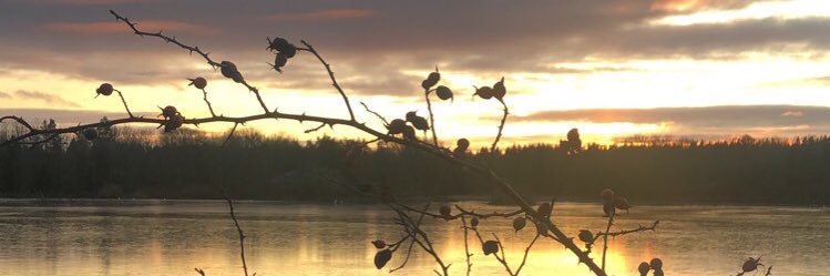 ujohansson74's profile banner image