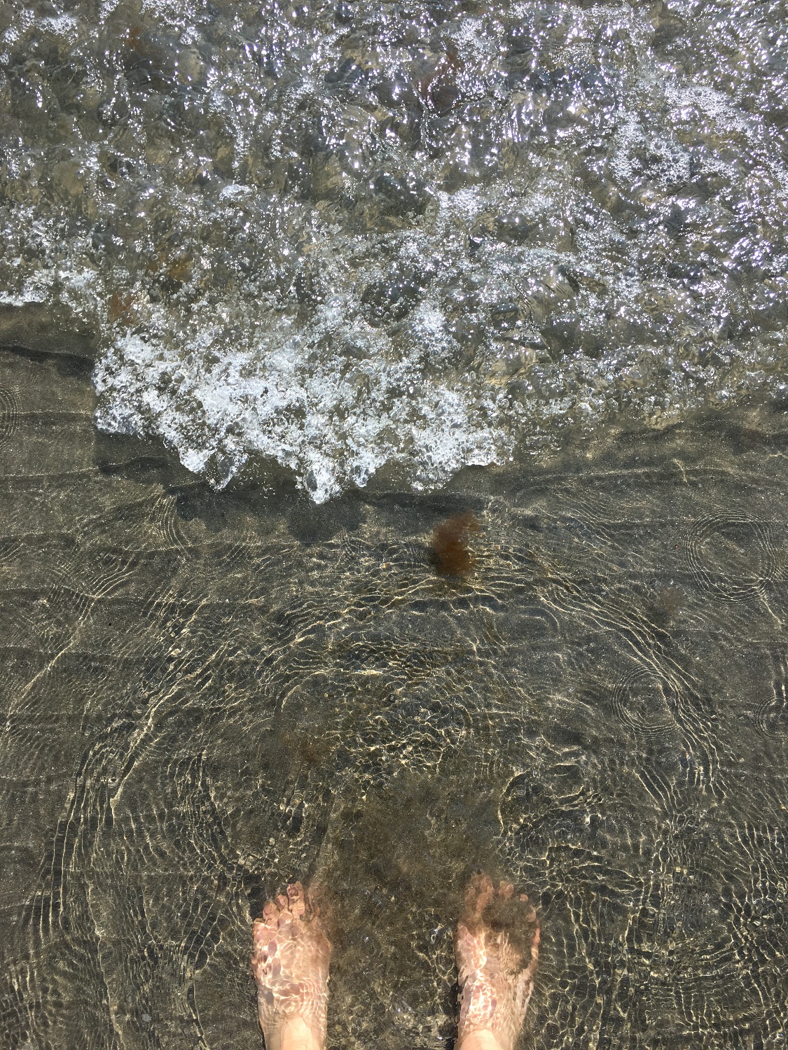 ある　しゃらん banner