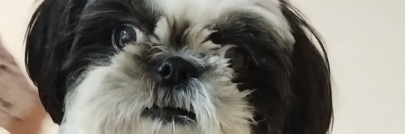 VerindAybar's profile banner image