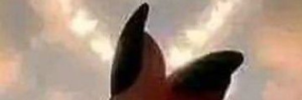 ChoChungMan Profile Banner