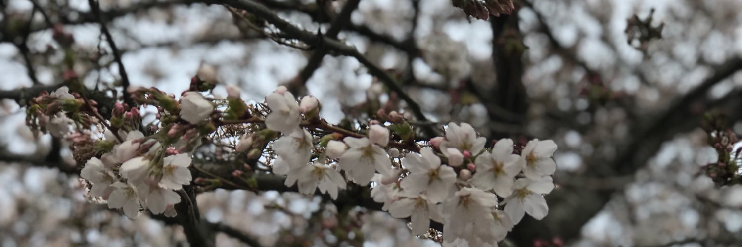 ZayByZay's profile banner image