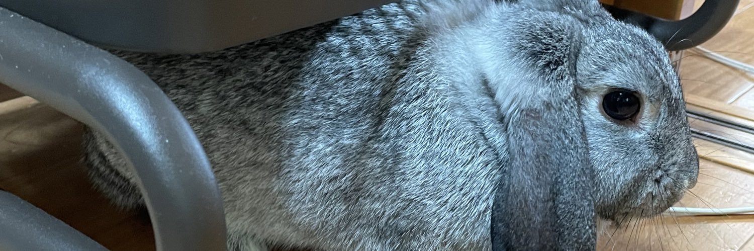 header image