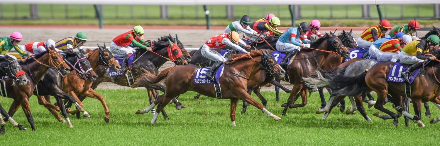 ぺむお🐴's banner