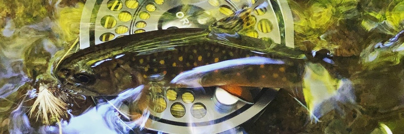 pfibiger's profile banner image