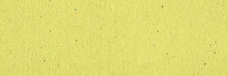 asha lemonade 🧃 banner
