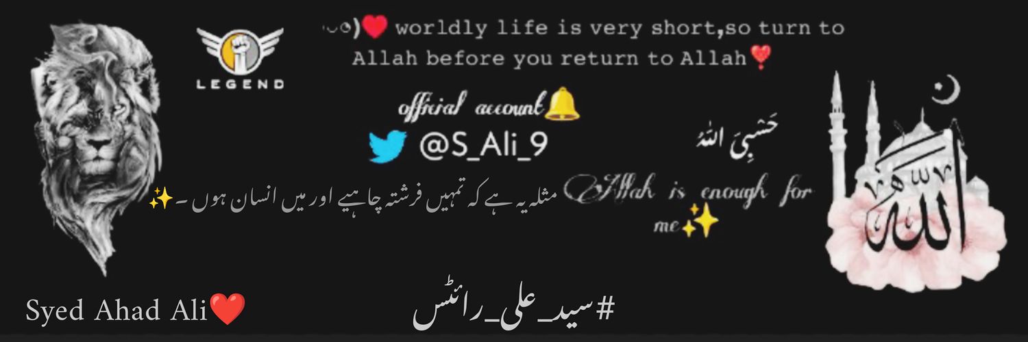 Syed Ali ♥️ banner