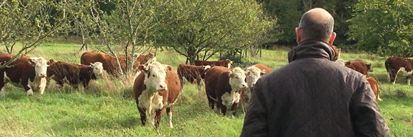 GREATglos Profile Banner