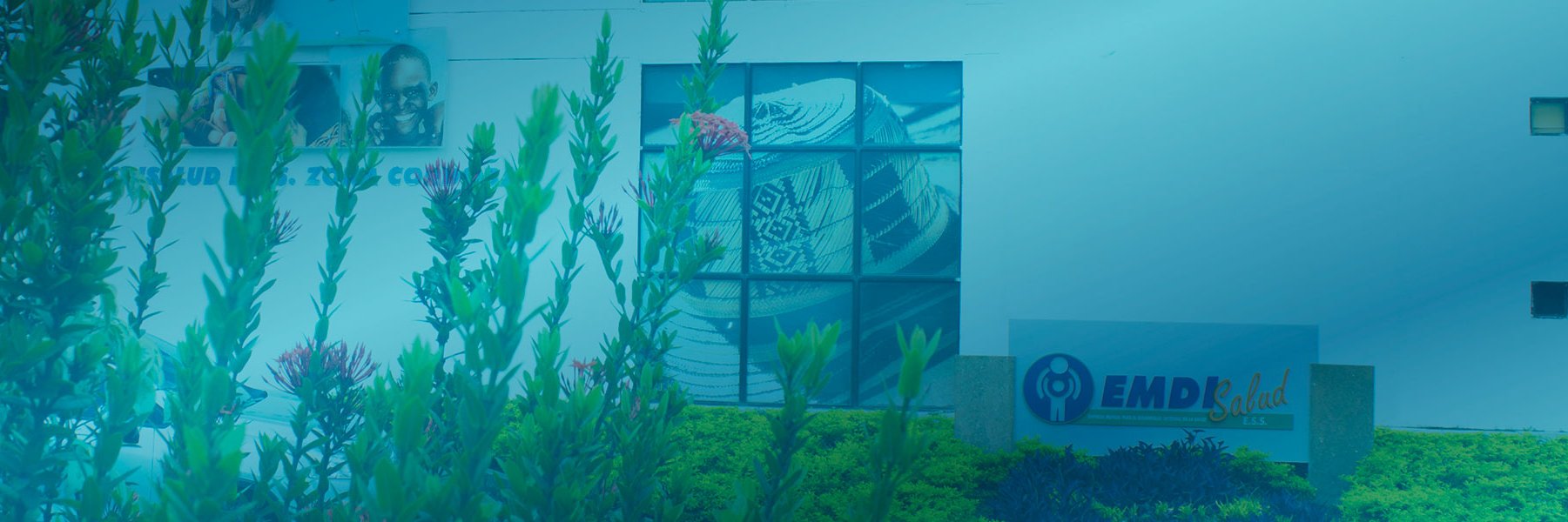 EMDISALUD EPS-S banner