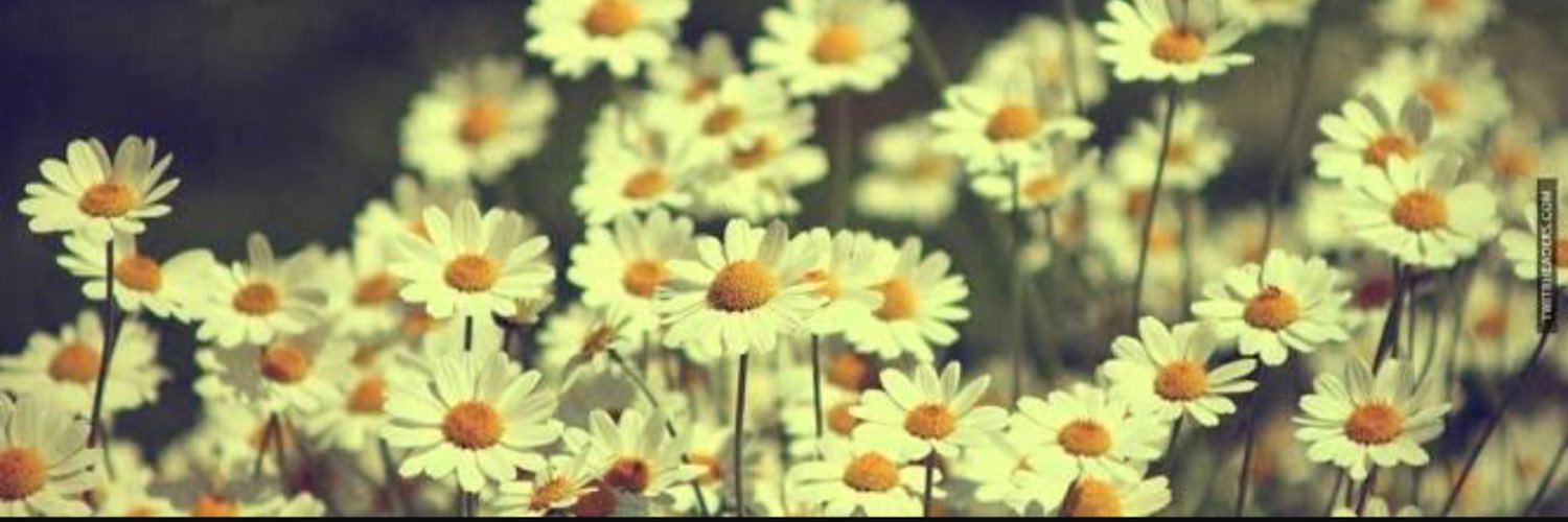 StaceyAndCaity's profile banner image