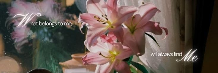 mariii:-P 𑄽୧ banner