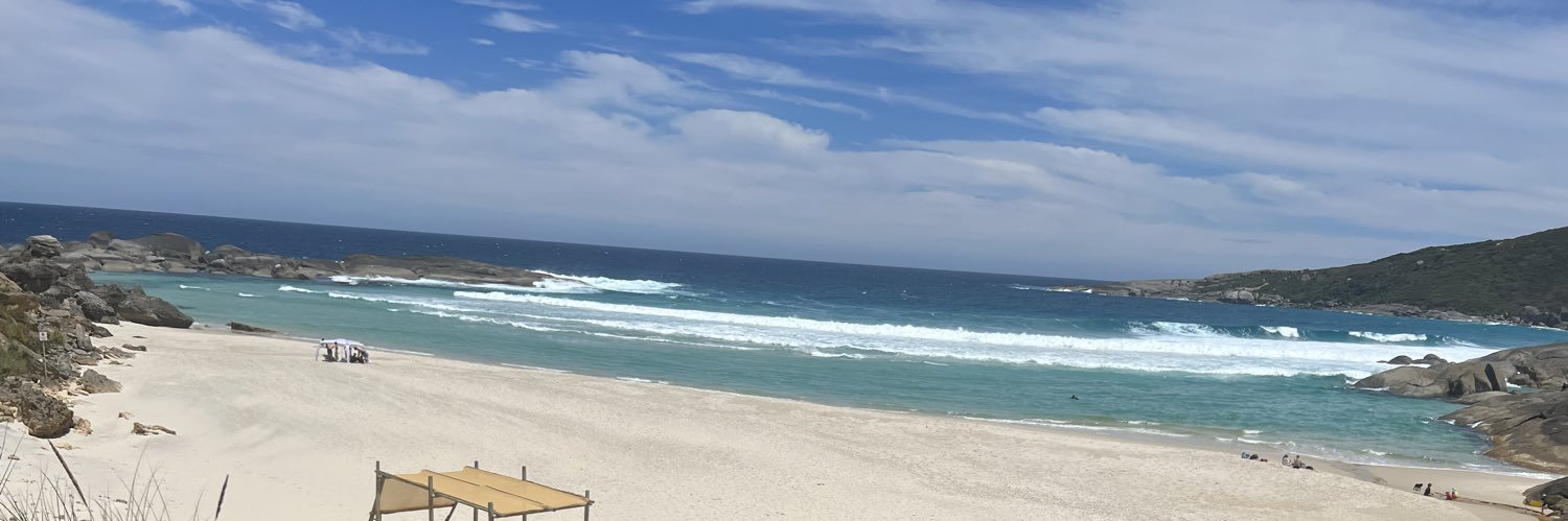 SurfinBert's profile banner image