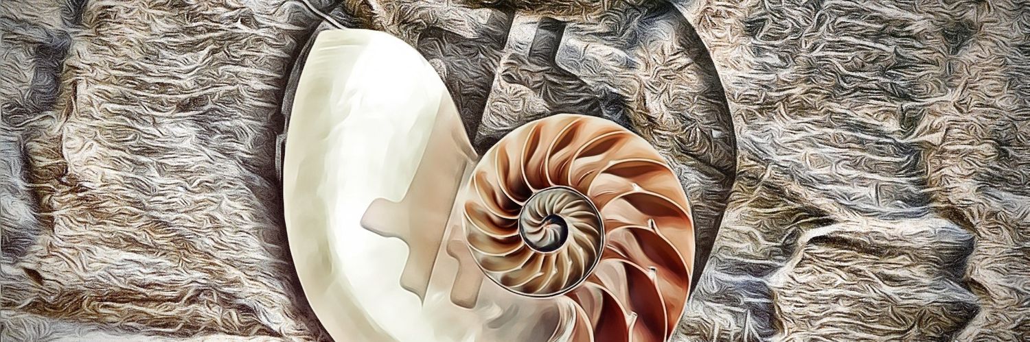 kdajami's profile banner image