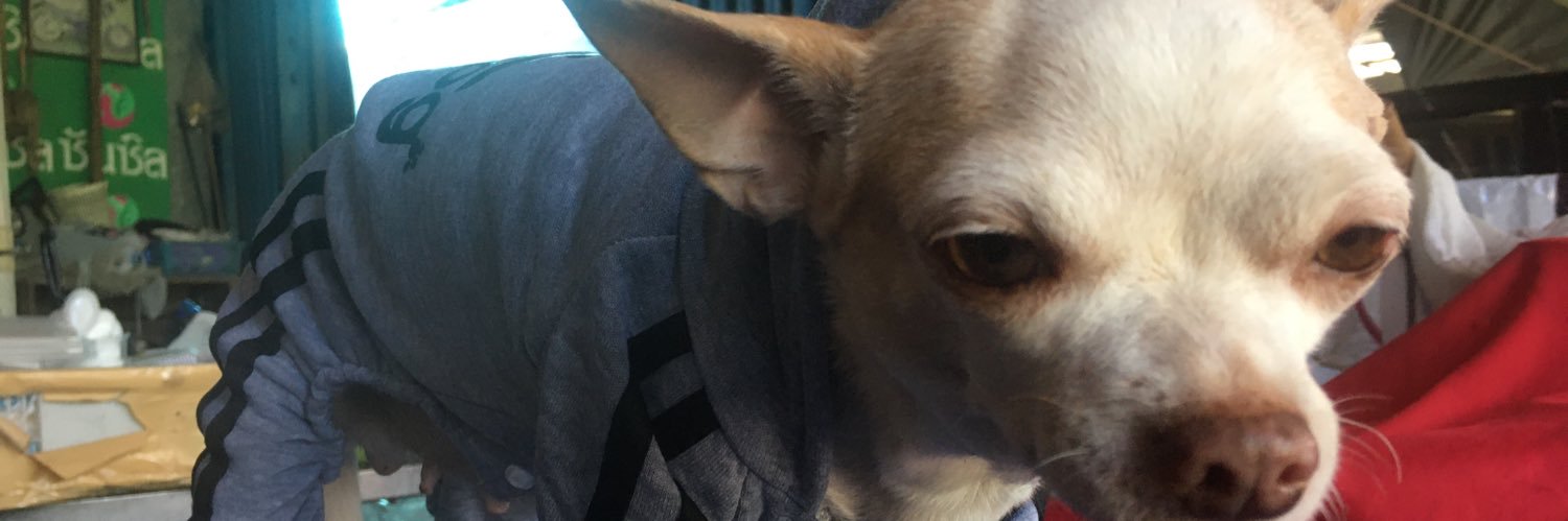 Happysoodsood's profile banner image
