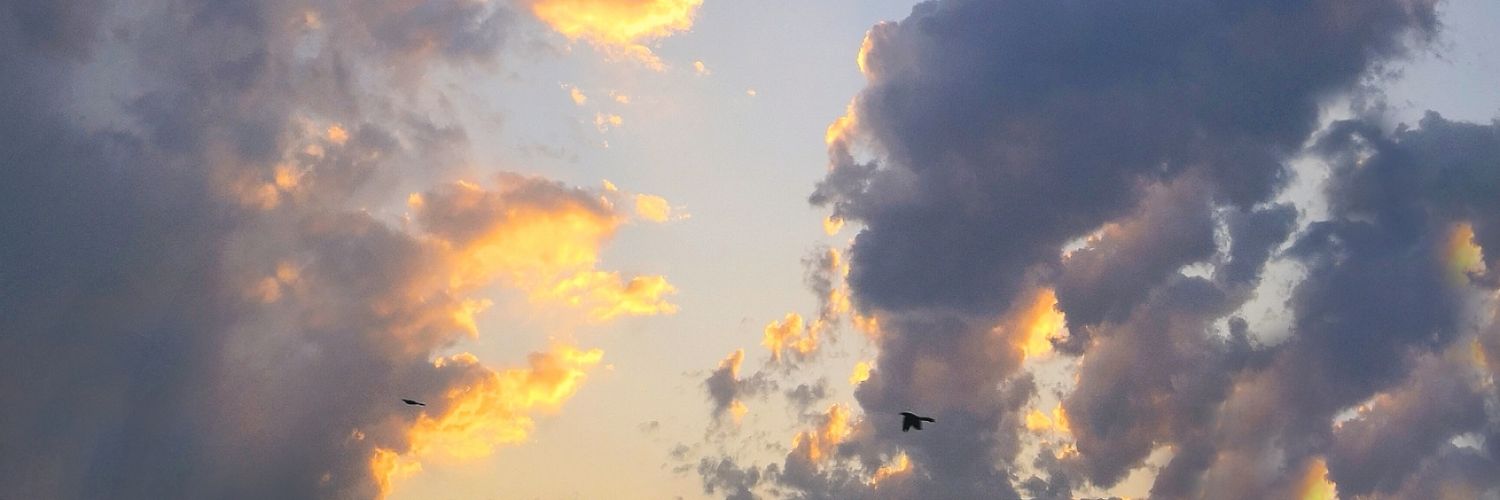 Zamarito's profile banner image