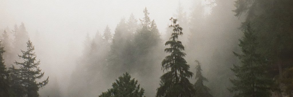 trvcy's profile banner image