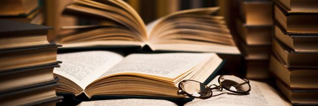 BUSCO / PROMO ROLES banner