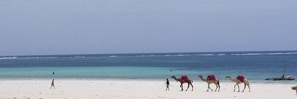 jwhogan42 Profile Banner