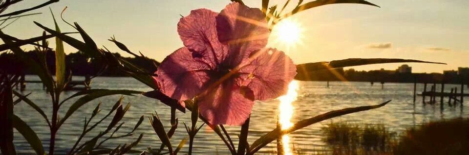 𑁍ࠬܓkaniyee banner