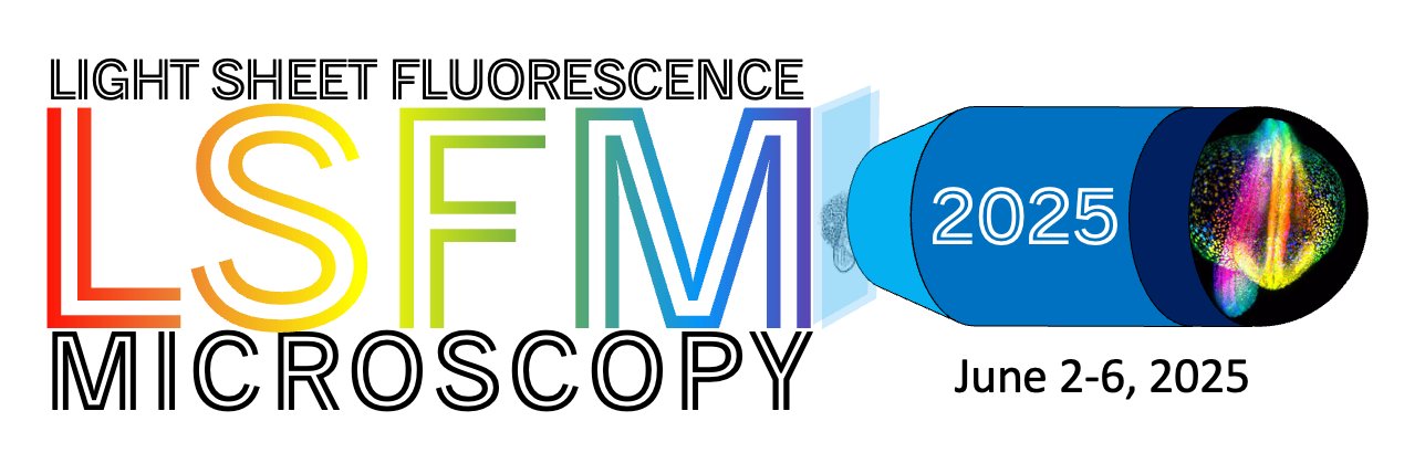Light-Sheet Fluorescence Microscopy (LSFM)'s banner