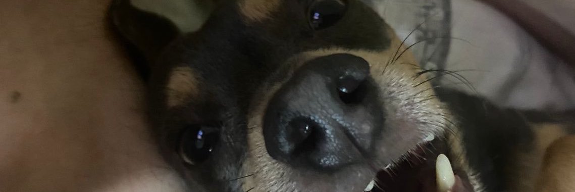capv____0o's profile banner image