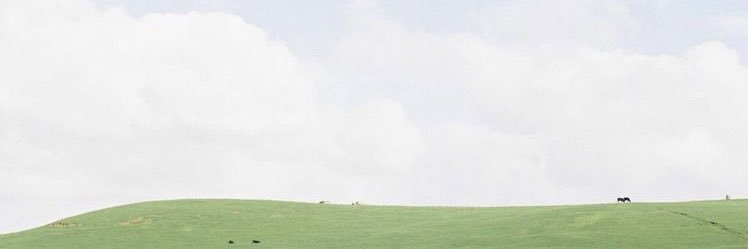 imyourbeep_'s profile banner image