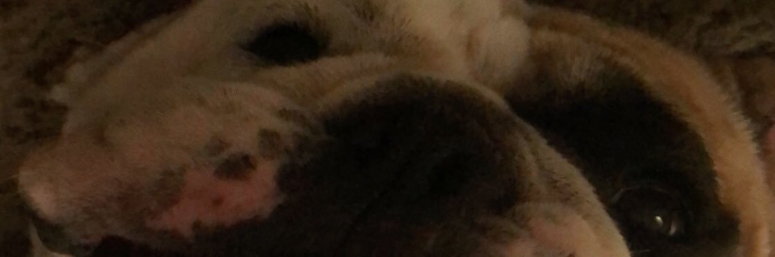 HJR_III's profile banner image