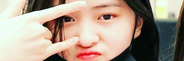 °⑅ ꒰ Vαɳι ꒱⑅° banner