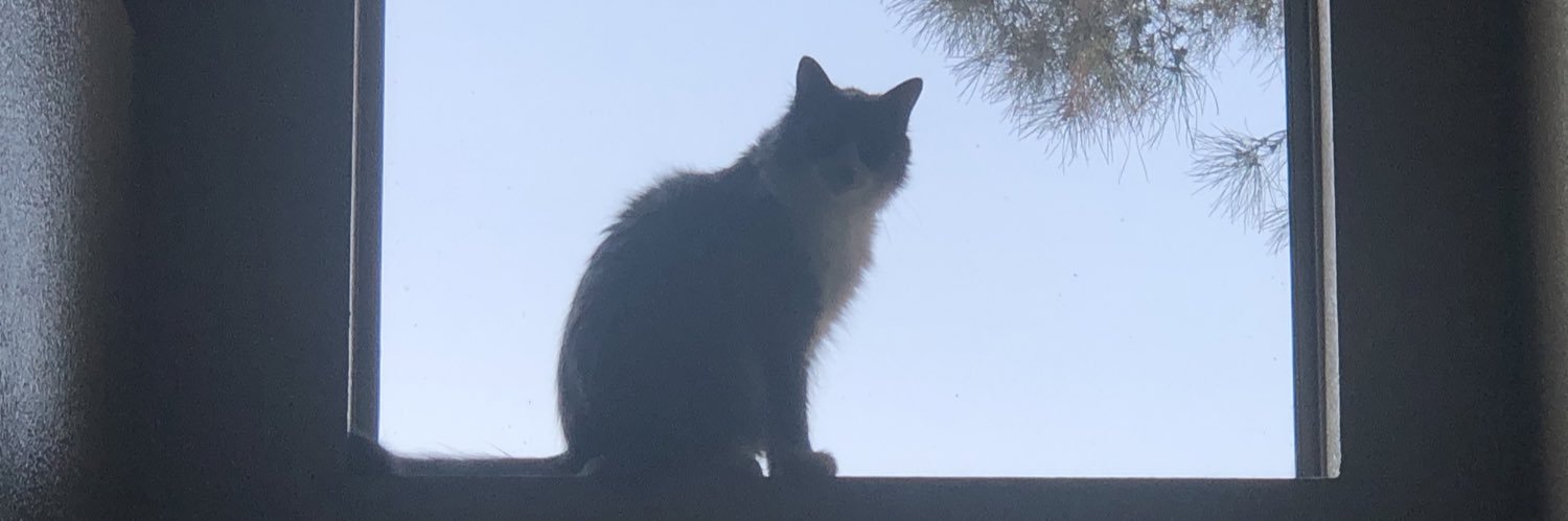herekitty67's profile banner image