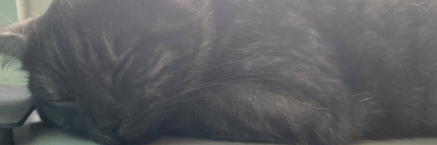 Vican_L's profile banner image