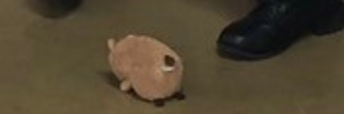 たかち　にじそ banner