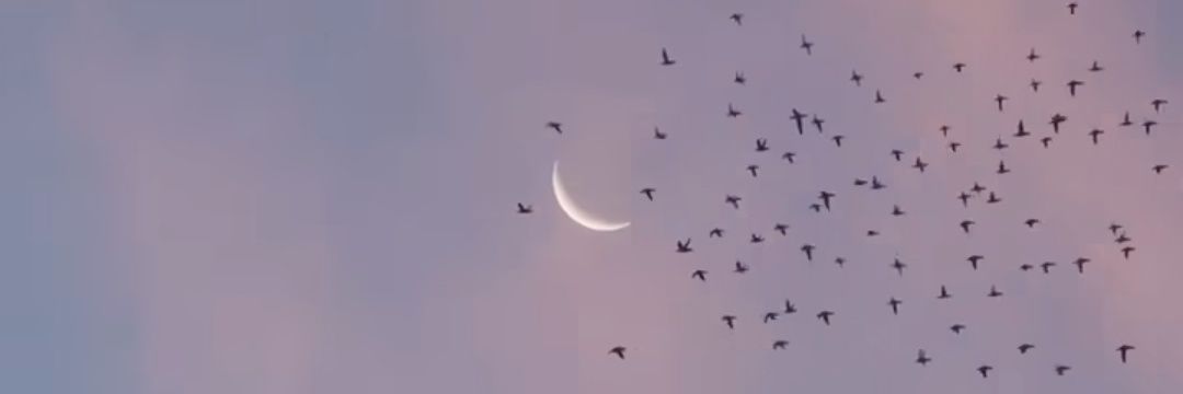 Sameer Kambay banner