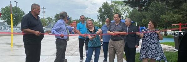 Kathleen Willis banner