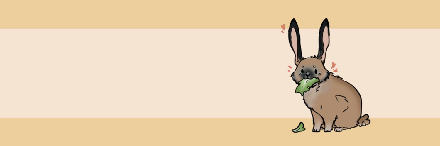 vyer_nn's profile banner image