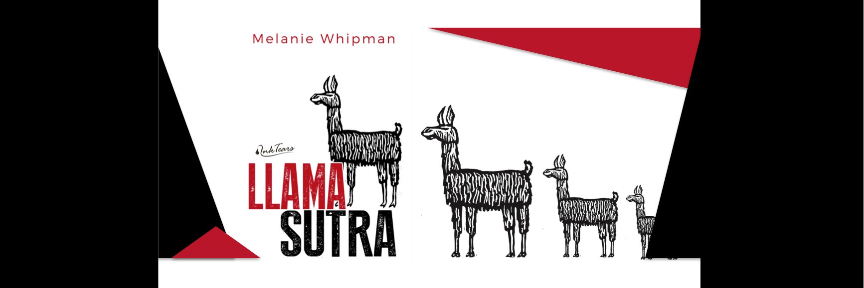 mwhipman's profile banner image