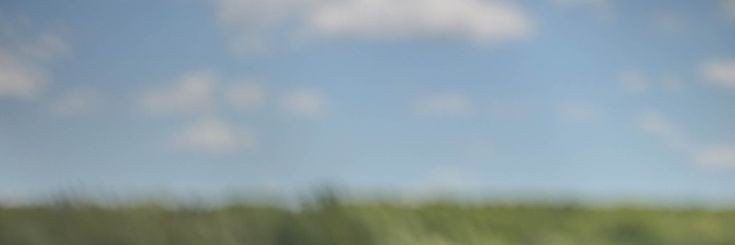 friskaloy's profile banner image