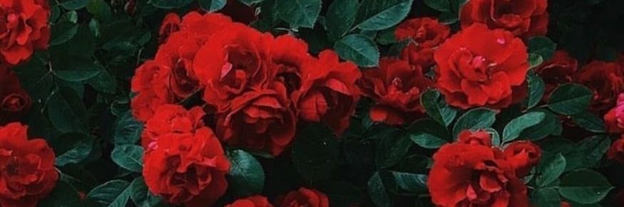 LauraPersonat's profile banner image