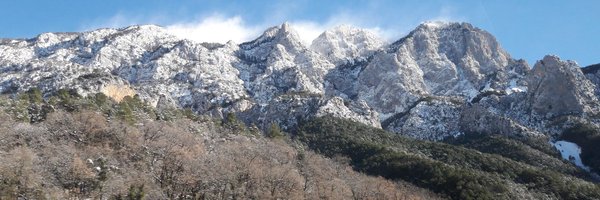 AnaM_sp_ Profile Banner