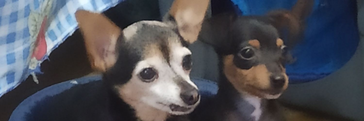 HFurbs's profile banner image