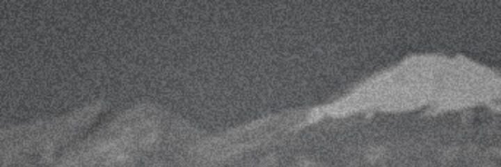 Buster0Whales👾 banner