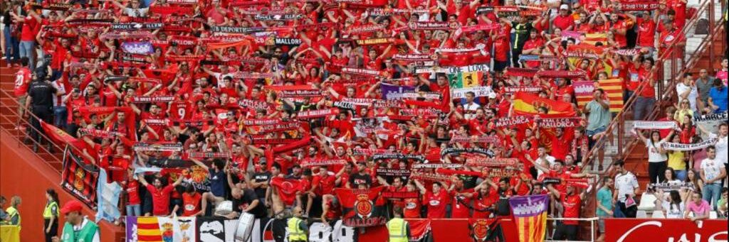 Carlos cepi banner