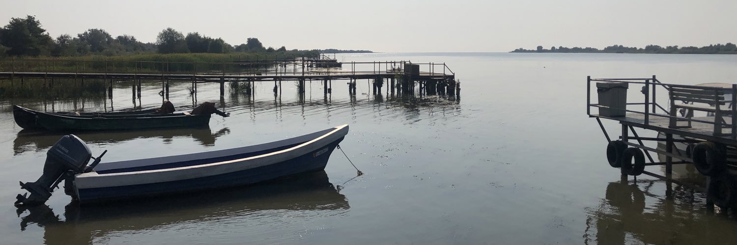 Patrick Thomson banner