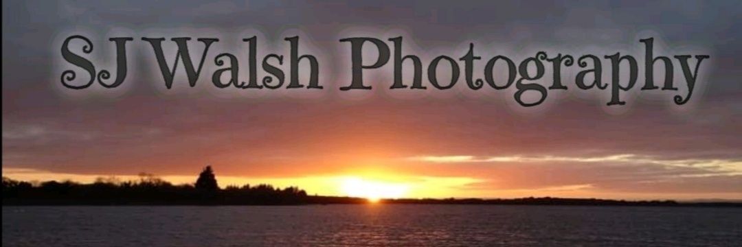 SJ Walsh Photography banner